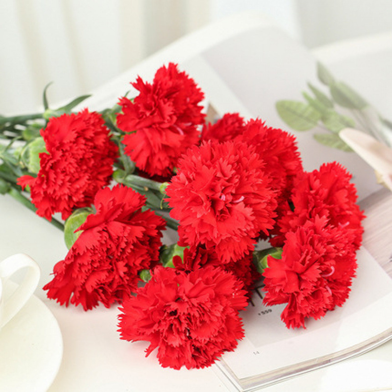 玫瑰花鲜花云南昆明基地批直发百合向日葵红豆家用鲜切水养插|undefined