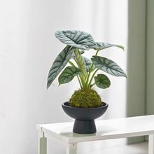 ��Ϭţ����̦�\���҃��k���ұ��Wins�Pֲ������՚�����ֲ�ﻨ��