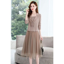 针织两件套连衣裙女2025年春春秋新款高端气质网纱中长款毛衣裙子