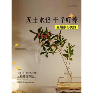 ˮ��ֲ��𻨘��𻨻������ļ��_�����¹��҃Ⱥ��B�Gֲ�R��ľ