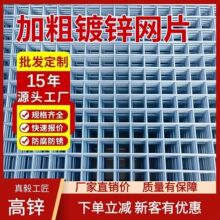亿滋建筑钢丝网片热镀锌网格片60孔焊接网片现货批发3mm方格网片