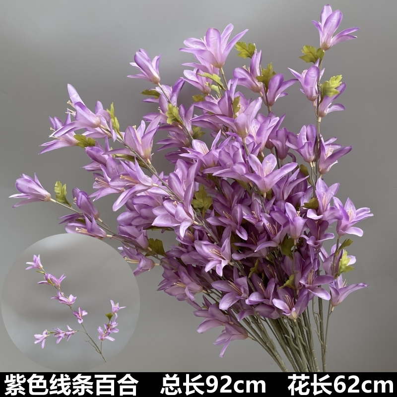 보라색 라인 백합