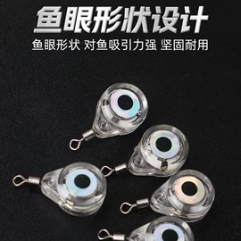 鱼饵;鱼竿;夜钓灯