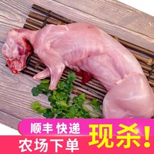 【顺丰包邮】新鲜兔肉大号现杀冷冻生兔肉生鲜食用烧烤食材一只装