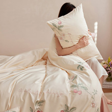 A类100支高级感床上四件套全棉纯棉新款长绒棉床单被套床笠款