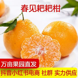 其他水果;梨;苹果