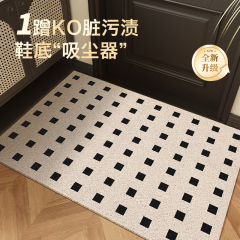 入户门丝圈地垫门口进门刮泥蹭土耐脏防滑垫子家用玄关可裁剪脚垫