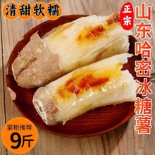 ɳ���ع��ܱ�����3��ɽ�|���Ĺ���ɳ�����������t��ɽ�����ع�