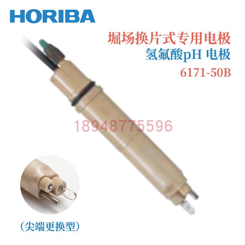 原装日本HORIBA堀场PH计 脉冲比例6171-50B 6172-50B 6174-50B