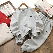 2024春季新款儿童中大童外贸童装休闲运动套装