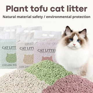 跨境猫砂豆腐砂聚焦菲律宾市场小批量OEM玉米结团猫砂 Cat Litter