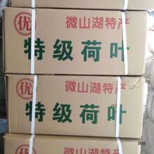 包邮50斤干荷叶整捆批发10斤干荷叶整片包邮整张荷叶饭荷叶鸡荷叶