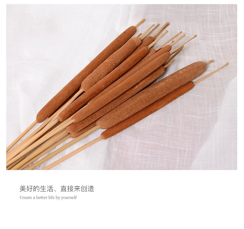 蒲棒-水蜡烛_11.jpg