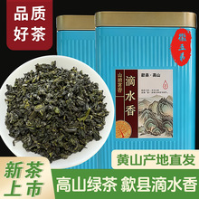 徽五弟花茶歙县滴水香500克采摘高山绿茶多品源头工厂直发可定制