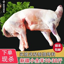 ��ȫ��חl��һ��ֻ10����30�￾���ȿ����ş�����ʳ����ֻ������