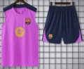 25-26 Barcelona Training Suit Purple