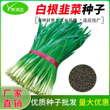 791���~ѩ�������׸��²˷N�Ӵ������N�r����@�̨�߲˷N��