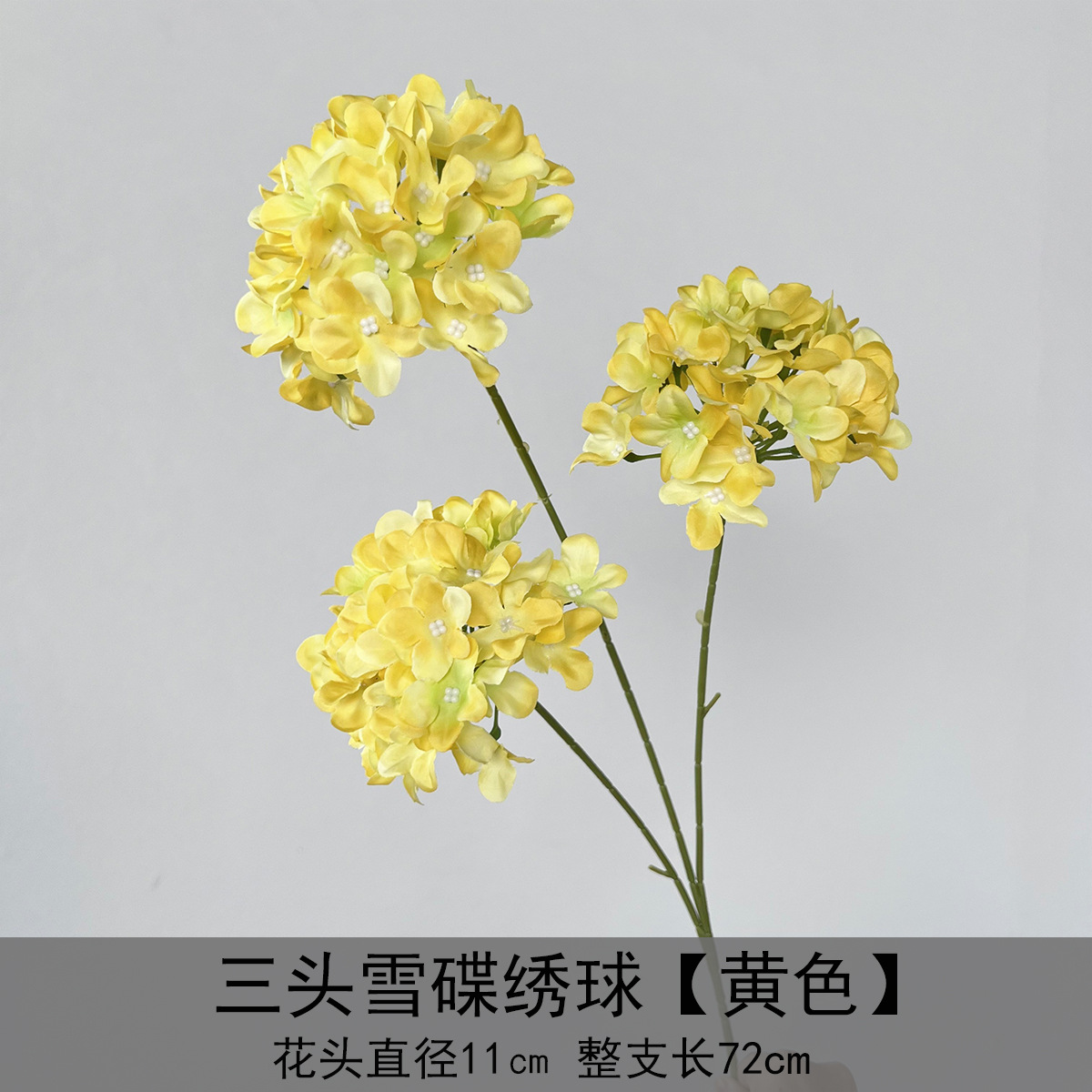 세 머리 눈접시 수국-노란색