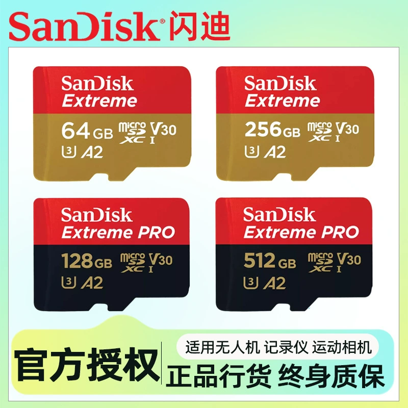 SanDisk, Tom Ford, карта памяти, монитор, рекордер, мобильный телефон, спортивная экшн-камера, накопитель, 32G, G64, 64G, 128G