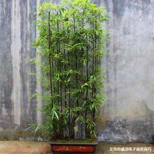 ����������ļ���������ͥԺ�҃��̨�^�pֲ�����������_�h��