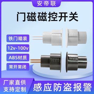 Wired concealed embedded window iron door magnetic alarm magnetic control switch anti-theft sensor household cross-border industry