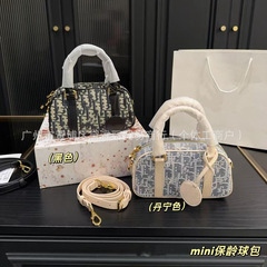 跨境新款mini保龄球手提包简约时尚波士顿帆布枕头包单肩斜挎女包