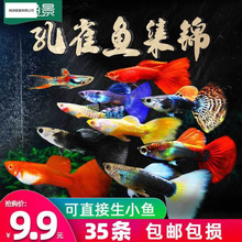 ��ȸ�~�Ꭷ�~С���^�p�~�Pβ�~��ˮ���B�ͻ����B���~���R���~
