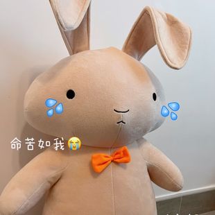 �¿�ɐ�Ϟ�P���ݵİ����������ë�q��߹���Ԫ�����Y����Ů����