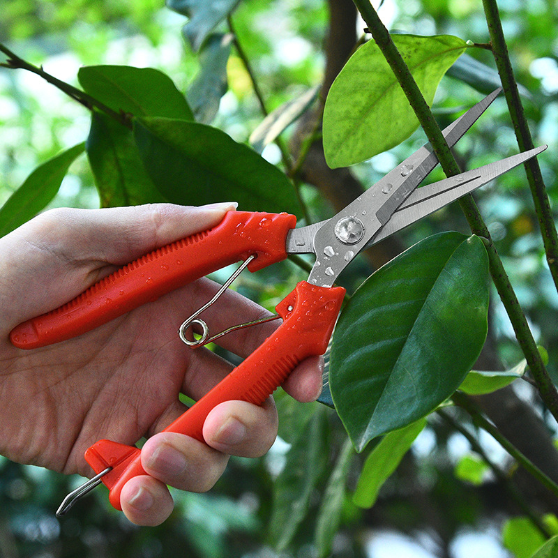 7号吊簧剪不锈钢修枝剪园林盆栽剪花枝剪摘果剪园林树枝剪刀批发