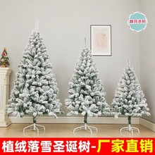 圣诞节白色植绒圣诞树PVC仿真落雪圣诞树造雪松树商场橱窗装饰树