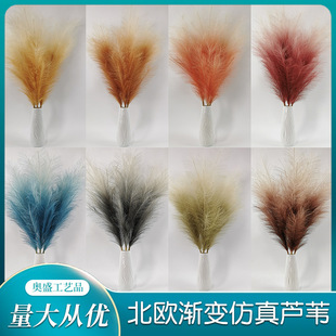 �u׃ɫ�����JȔ�羳����˹�ݷ����ѲݼҾ��b�����Gֲ100cm���l