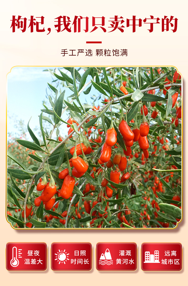 Premium Ningxia Zhongning Goji Berries 250g Jar Sulfur-Free Top Grade Dried Wolfberry quality and texture