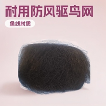 �E���D      ���a�N���w�C���r�B�W�r���ַ��o�W���L������B