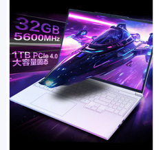 适用于机械革命极光X新品电竞游戏笔记本电脑512G固态硬盘 x 16g