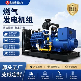 燃气发电机组;柴油发电机组;内燃机