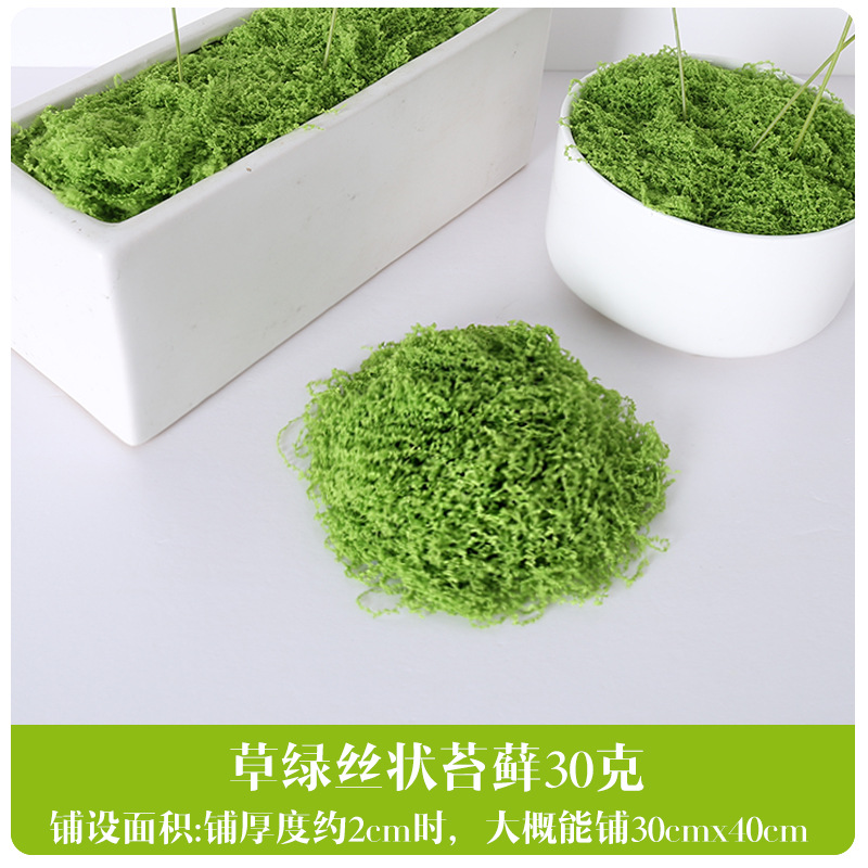 Musgo Fibroso Fruta Verde - 30g