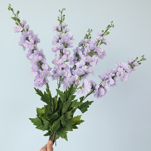 �����ָб����w��ݻ��Wʽ�͏d�[�Ų����ٻ���c�zӰ����ܛ�b��