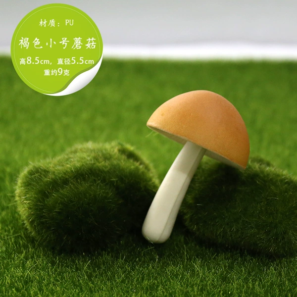 Light brown brown small mushroom