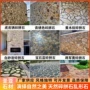 定制天然乱形铺地拼石