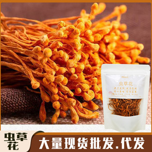 �x�ݻ�50g�r�Ҹ�؛�����^���x���Ҝ�ʳ�����lԴ�^�̼���̴��l