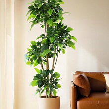 ����ֲ���Ҹ���lؔ��͏d��ؼپGֲ�҃ȼҾ��b[���ٻ�