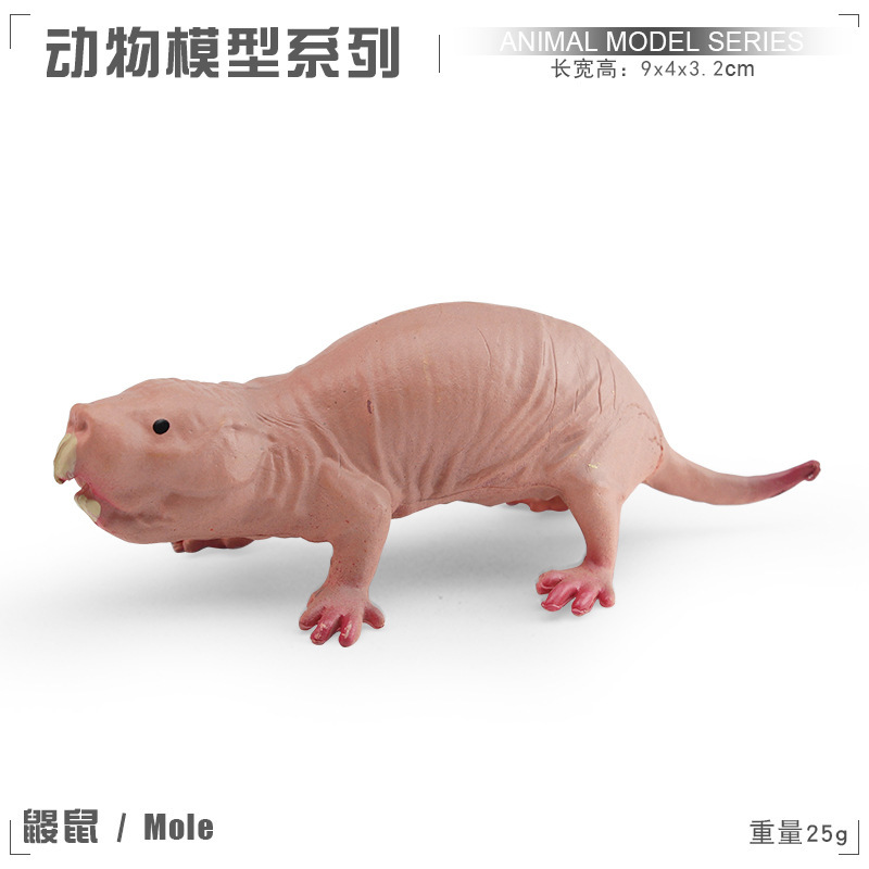 Niños cognitivo puzzle simulación animal modelo de ratón conejillo de indias ratón topo ardilla adornos estáticos sólidos hechos a mano