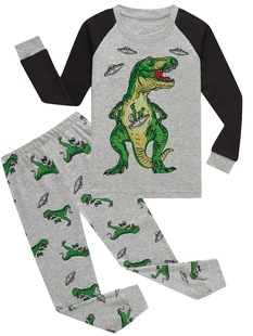 2025 New Cross-Border Dropshipping 2-Piece Youth Dinosaur Shark Print Cotton Suit
