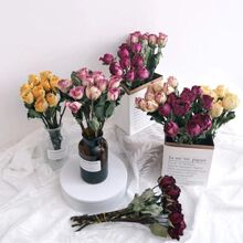 õ廨ɻõ˲ݝM滨͏d廨ҾbinsWtl