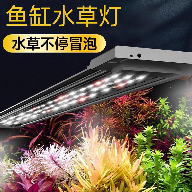 Crazy water grass fish tank lamp led waterproof water grass lamp full spectrum grass tank explosion algae plant fill light manufacturers wholesale