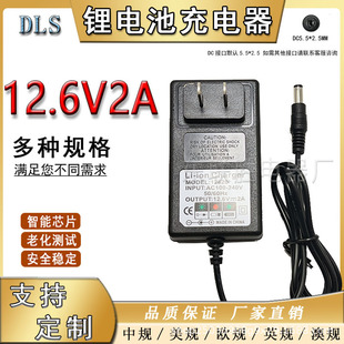 4.2V1A 8.4V1A 8.4V2A 12.6V1A 12.6V2A 21V 1A Us And Eu Lithium BAttery ChArging
