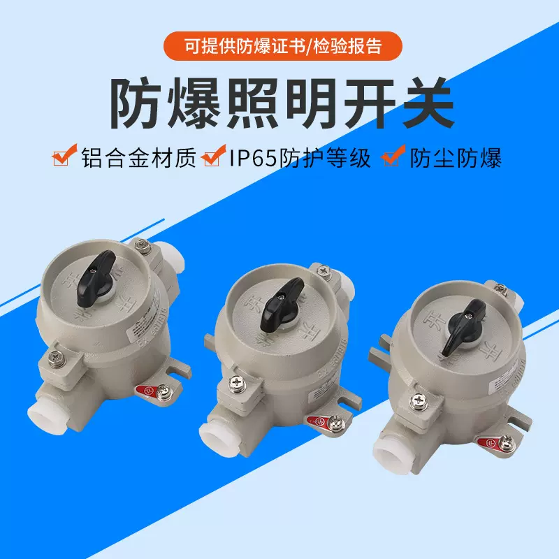 厂家供应SW-10系列铝合金防爆照明开关220v380v防腐控制转换开关