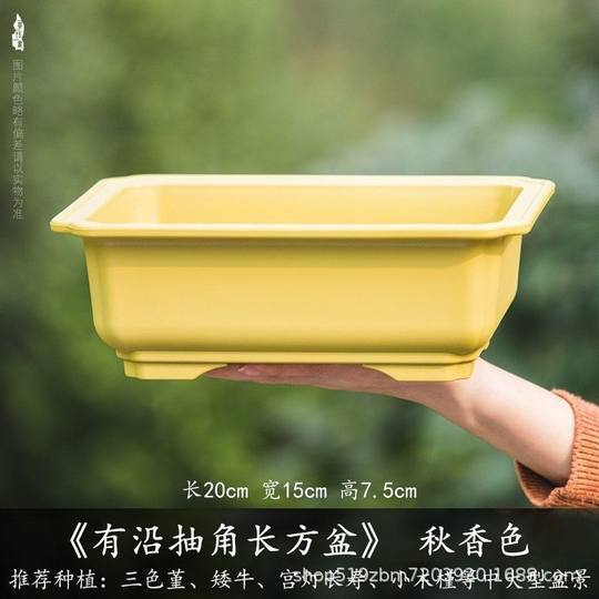 Household long flower pot rectangular manger pot succulent green plant banyan bonsai bonsai breathable imitation purple sand resin pot