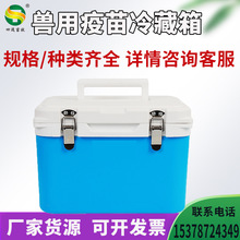 F䱣iҺșƷݱrD\\ݔl