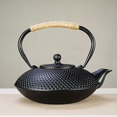 800ml Iron Teapot with Filter, Chinese-Style Water Boiler for Tea Brewing, Home & Wellness Use, Cast Iron Pot as Decorative Ornaments, Cross-Border Tea Set